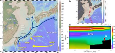 Organic carbon burial and their implication on sea surface primary productivity in the middle Okinawa Trough over the past 200 ka
